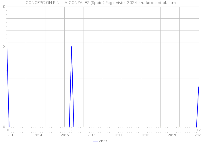 CONCEPCION PINILLA GONZALEZ (Spain) Page visits 2024 