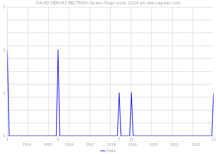 DAVID HERVAS BELTRAN (Spain) Page visits 2024 