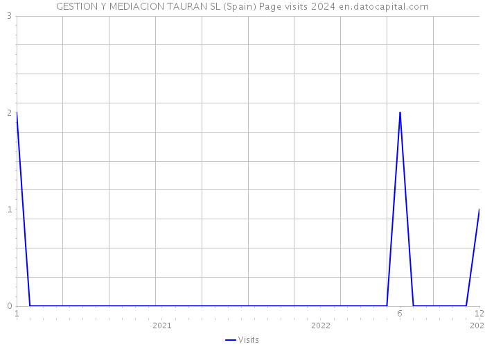 GESTION Y MEDIACION TAURAN SL (Spain) Page visits 2024 