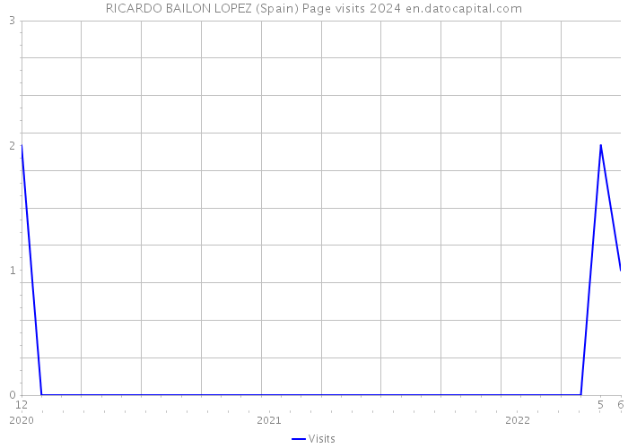 RICARDO BAILON LOPEZ (Spain) Page visits 2024 