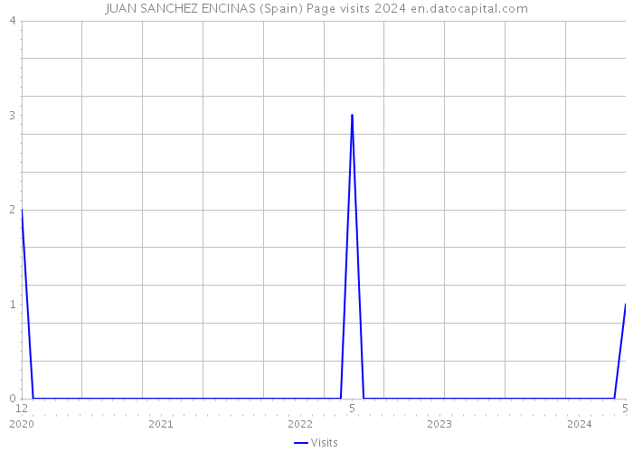 JUAN SANCHEZ ENCINAS (Spain) Page visits 2024 