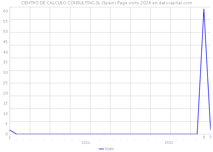 CENTRO DE CALCULO CONSULTING SL (Spain) Page visits 2024 