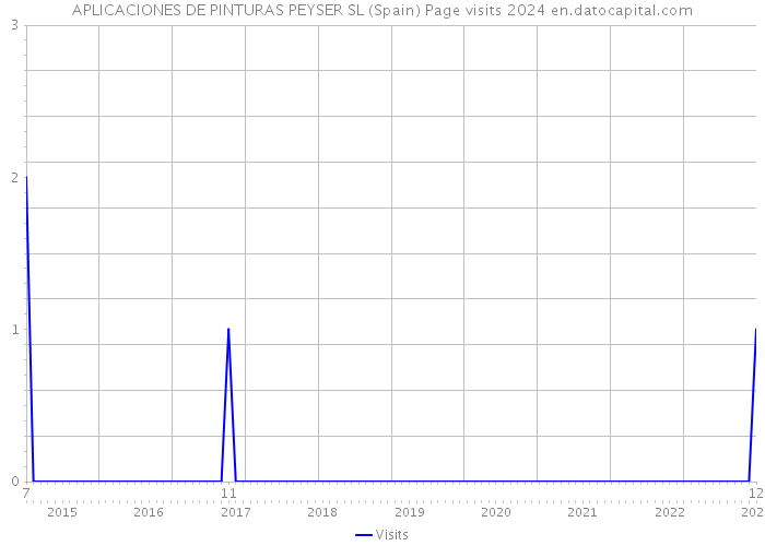 APLICACIONES DE PINTURAS PEYSER SL (Spain) Page visits 2024 