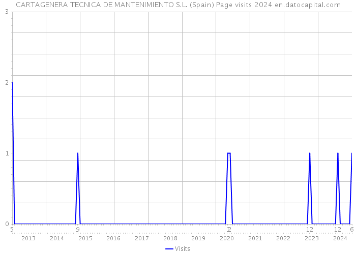 CARTAGENERA TECNICA DE MANTENIMIENTO S.L. (Spain) Page visits 2024 