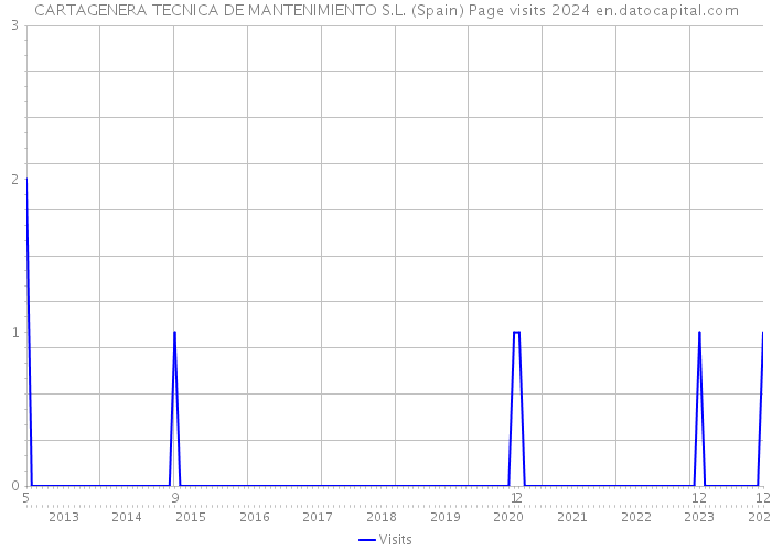 CARTAGENERA TECNICA DE MANTENIMIENTO S.L. (Spain) Page visits 2024 