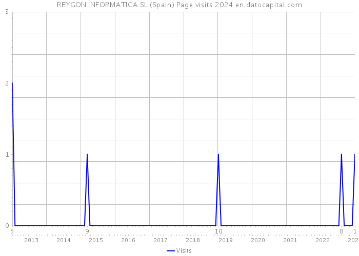 REYGON INFORMATICA SL (Spain) Page visits 2024 