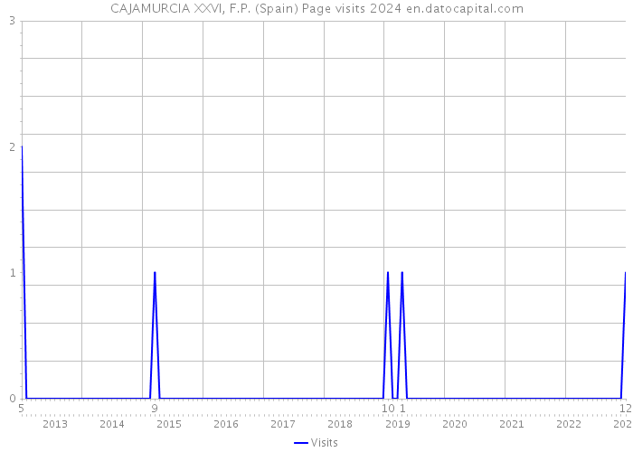 CAJAMURCIA XXVI, F.P. (Spain) Page visits 2024 