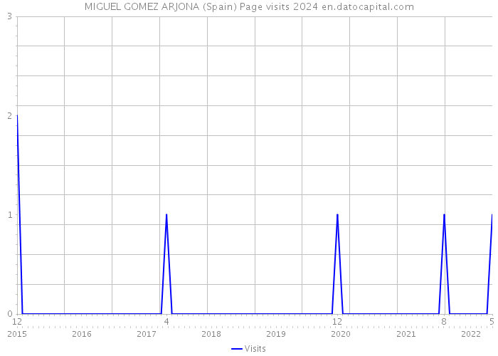 MIGUEL GOMEZ ARJONA (Spain) Page visits 2024 