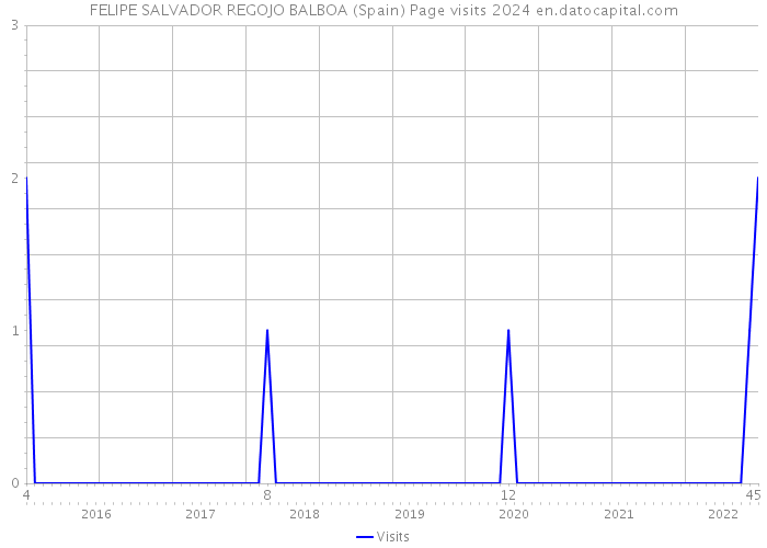 FELIPE SALVADOR REGOJO BALBOA (Spain) Page visits 2024 