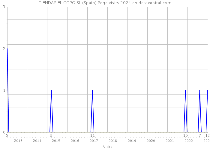 TIENDAS EL COPO SL (Spain) Page visits 2024 