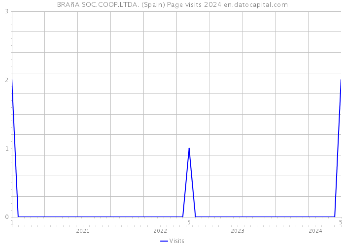 BRAñA SOC.COOP.LTDA. (Spain) Page visits 2024 
