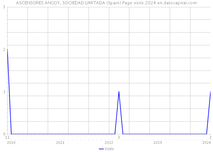 ASCENSORES ANGOY, SOCIEDAD LIMITADA (Spain) Page visits 2024 