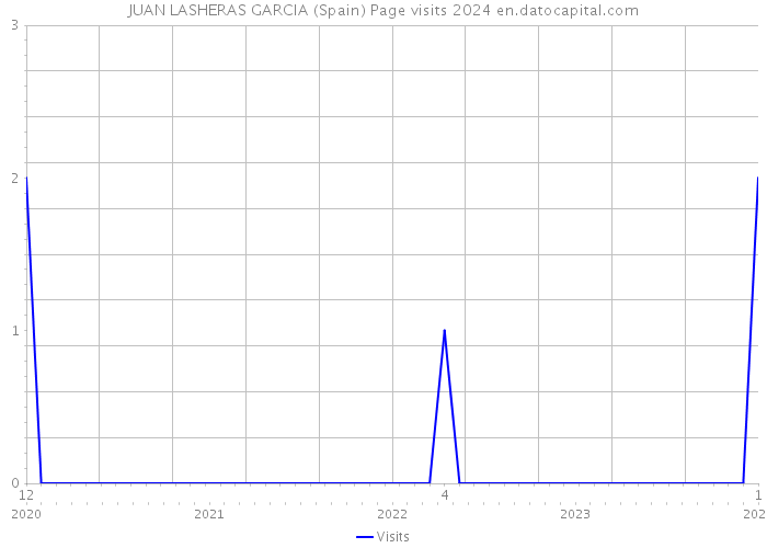 JUAN LASHERAS GARCIA (Spain) Page visits 2024 