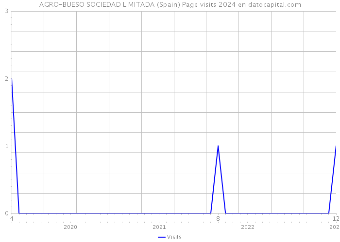 AGRO-BUESO SOCIEDAD LIMITADA (Spain) Page visits 2024 