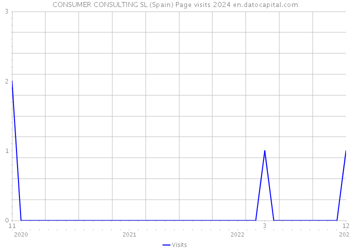 CONSUMER CONSULTING SL (Spain) Page visits 2024 