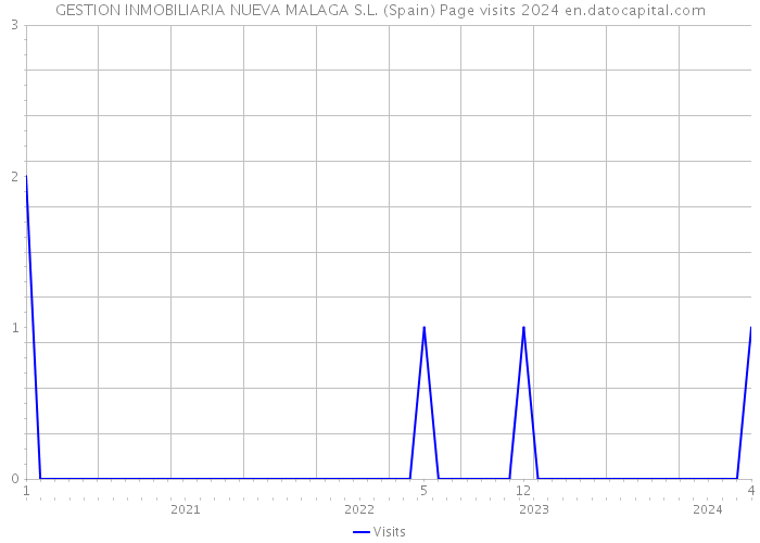 GESTION INMOBILIARIA NUEVA MALAGA S.L. (Spain) Page visits 2024 