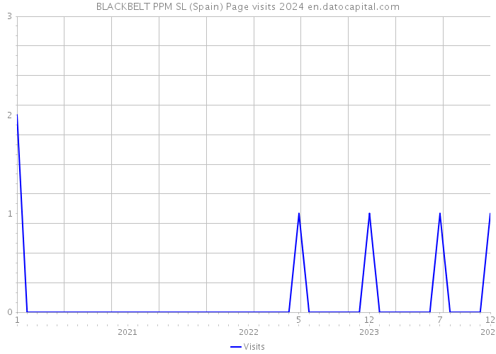 BLACKBELT PPM SL (Spain) Page visits 2024 