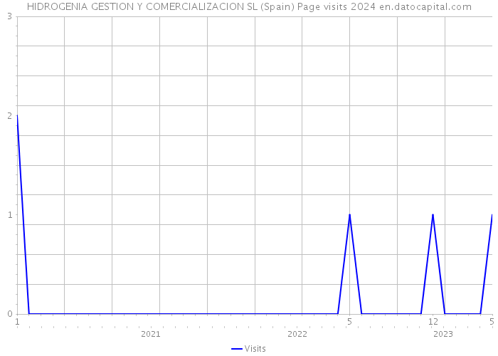 HIDROGENIA GESTION Y COMERCIALIZACION SL (Spain) Page visits 2024 