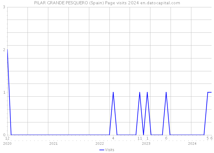 PILAR GRANDE PESQUERO (Spain) Page visits 2024 