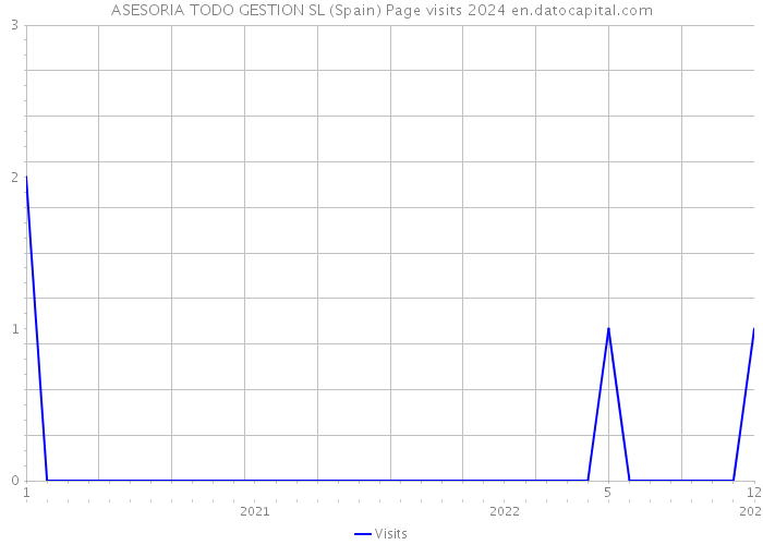 ASESORIA TODO GESTION SL (Spain) Page visits 2024 