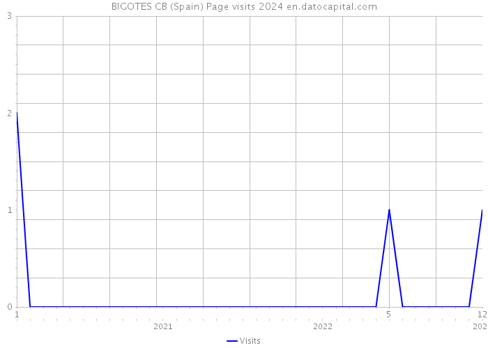 BIGOTES CB (Spain) Page visits 2024 