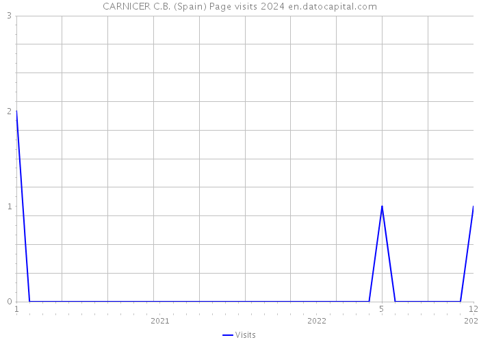 CARNICER C.B. (Spain) Page visits 2024 