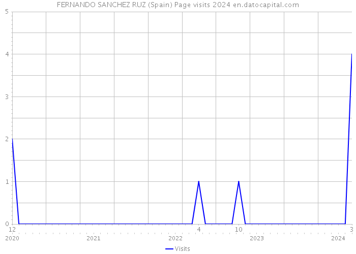 FERNANDO SANCHEZ RUZ (Spain) Page visits 2024 