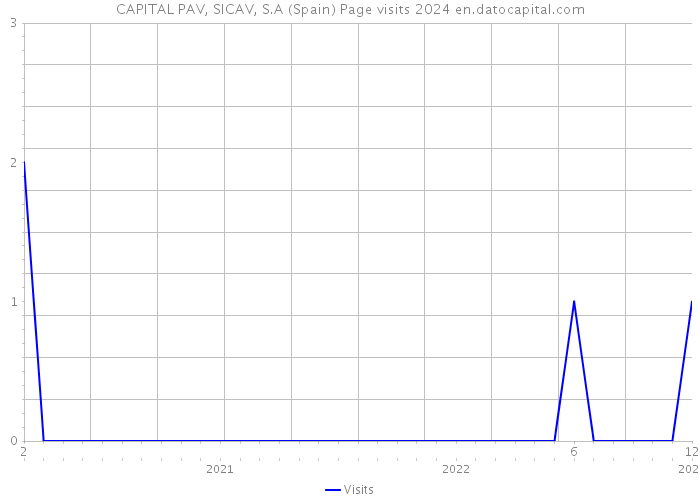 CAPITAL PAV, SICAV, S.A (Spain) Page visits 2024 