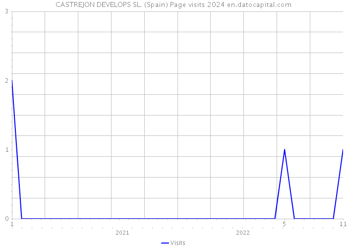 CASTREJON DEVELOPS SL. (Spain) Page visits 2024 
