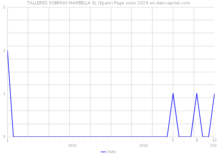 TALLERES SOBRINO MARBELLA SL (Spain) Page visits 2024 