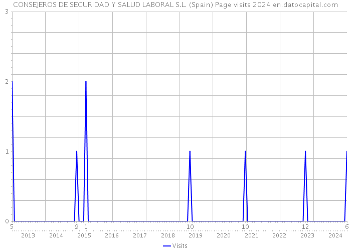 CONSEJEROS DE SEGURIDAD Y SALUD LABORAL S.L. (Spain) Page visits 2024 