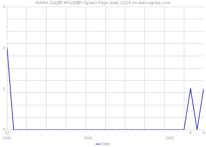 MARIA SOLER MOLINER (Spain) Page visits 2024 