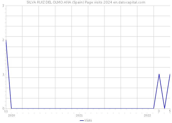 SILVA RUIZ DEL OLMO ANA (Spain) Page visits 2024 