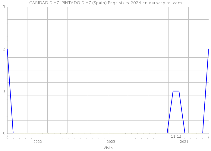 CARIDAD DIAZ-PINTADO DIAZ (Spain) Page visits 2024 