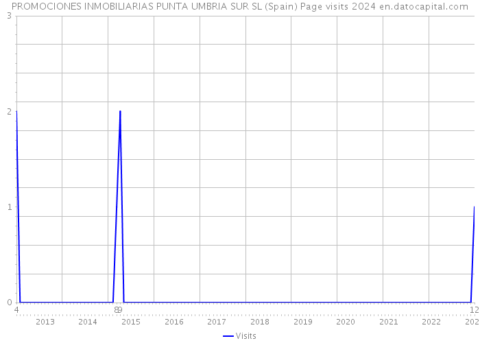 PROMOCIONES INMOBILIARIAS PUNTA UMBRIA SUR SL (Spain) Page visits 2024 