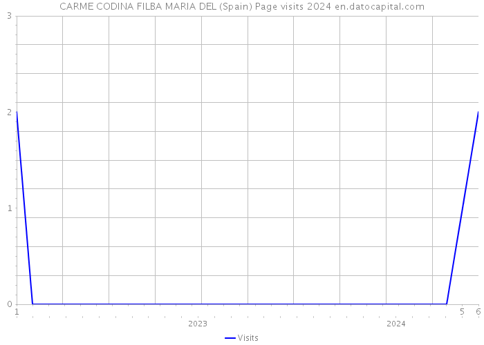 CARME CODINA FILBA MARIA DEL (Spain) Page visits 2024 