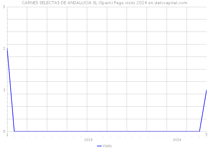 CARNES SELECTAS DE ANDALUCIA SL (Spain) Page visits 2024 