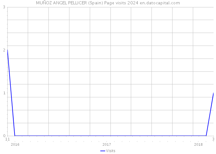 MUÑOZ ANGEL PELLICER (Spain) Page visits 2024 