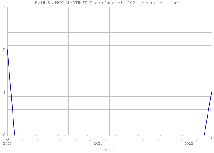 RAUL BLANCO MARTINEZ (Spain) Page visits 2024 