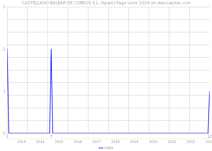 CASTELLANO BALEAR DE COBROS S.L. (Spain) Page visits 2024 