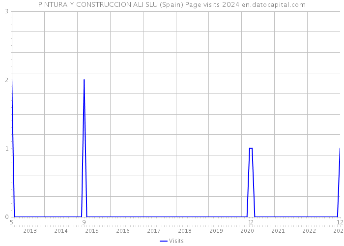 PINTURA Y CONSTRUCCION ALI SLU (Spain) Page visits 2024 