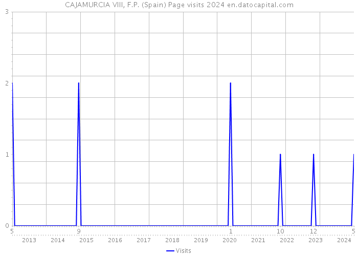 CAJAMURCIA VIII, F.P. (Spain) Page visits 2024 