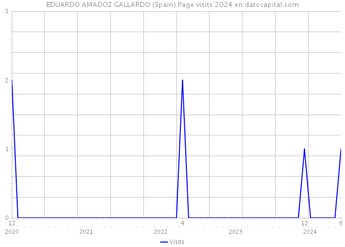 EDUARDO AMADOZ GALLARDO (Spain) Page visits 2024 