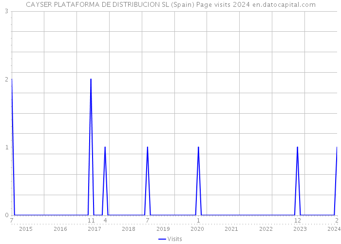 CAYSER PLATAFORMA DE DISTRIBUCION SL (Spain) Page visits 2024 