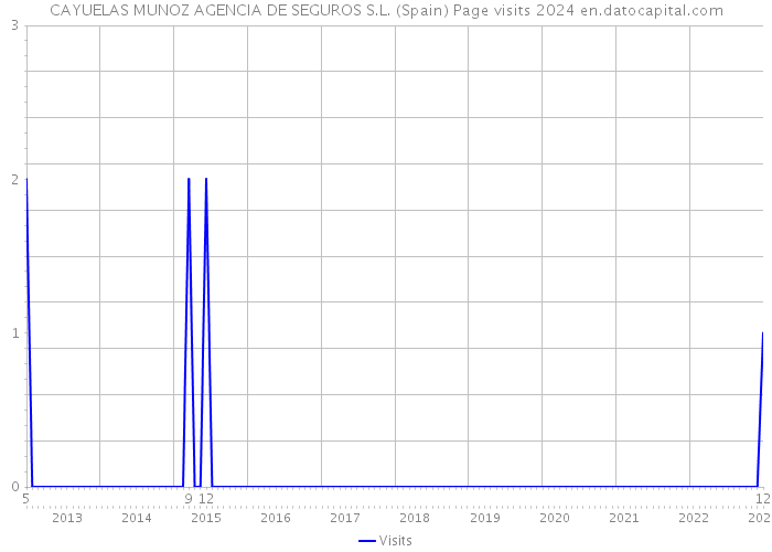 CAYUELAS MUNOZ AGENCIA DE SEGUROS S.L. (Spain) Page visits 2024 