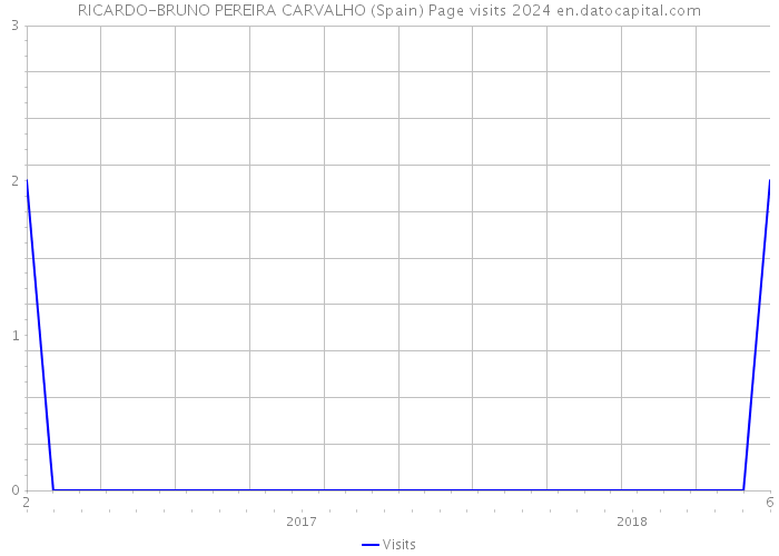 RICARDO-BRUNO PEREIRA CARVALHO (Spain) Page visits 2024 