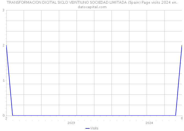 TRANSFORMACION DIGITAL SIGLO VEINTIUNO SOCIEDAD LIMITADA (Spain) Page visits 2024 
