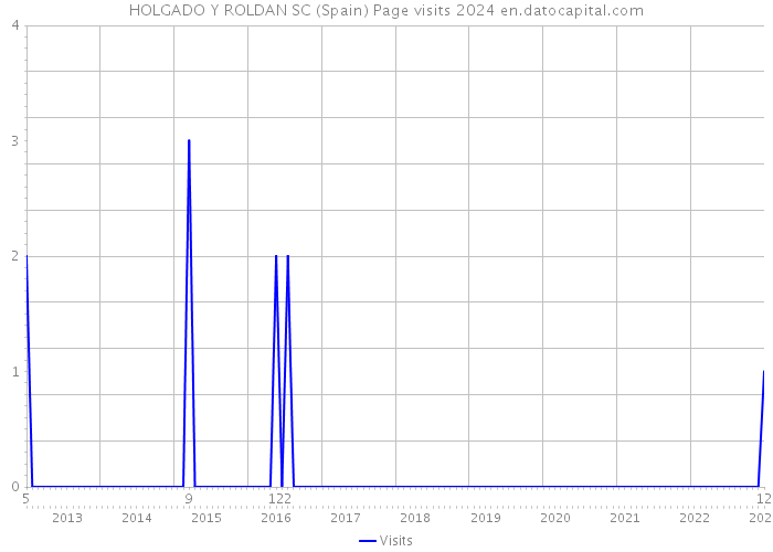 HOLGADO Y ROLDAN SC (Spain) Page visits 2024 