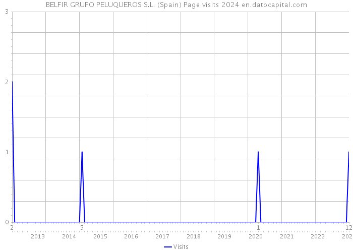 BELFIR GRUPO PELUQUEROS S.L. (Spain) Page visits 2024 