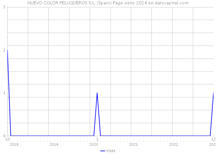 NUEVO COLOR PELUQUEROS S.L. (Spain) Page visits 2024 